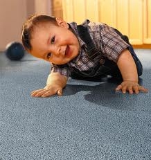 Wilson Cleaning for all your carpet cleaning in Wetherby